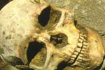 В ходе строительных работ по пр. Победы, были найдены кости и череп неизвестного человека