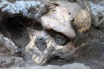 В Альметьевске был найден человеческий череп во время проведения земляных работ