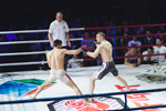 В Казани состоится III Международный профессиональный турнир по боевым искусствам ТАТФАЙТ