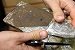  Задержаны 35 участников крупной казанской наркогруппировки 