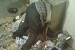 В Татарстане мужчина застрял в мусоропроводе [фото]