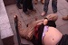 В Казани борцы с педофилами поймали преподавателя КАИ [видео]