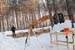 Экологи хотят избавить Петровский лес от соседей Касаткина.
