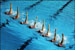 С 24 по 26 апреля во Дворце водных видов спорта пройдет Чемпионат России по синхронному плаванию.