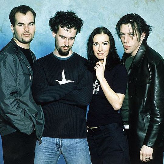Guano apes