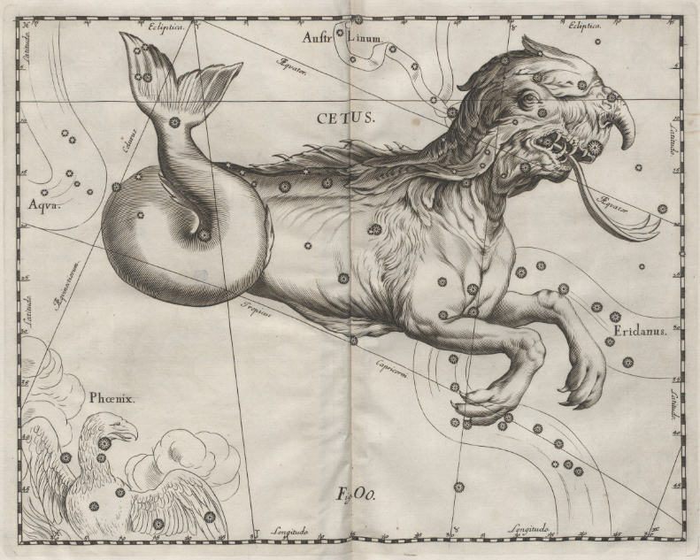 Созвездие Кита из звёздного атласа Яна Гевелия «Uranographia», 1687 г.